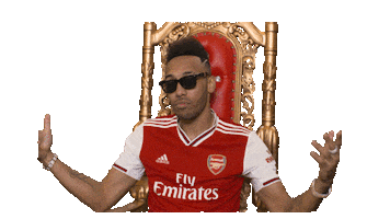 Premier League Football Sticker by Arsenal