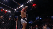 ufc 212 GIF