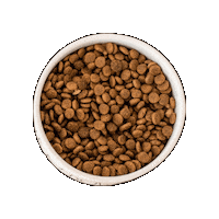 tenderandtruepet petfood kibble tenderandtruepet tenderandtrue Sticker