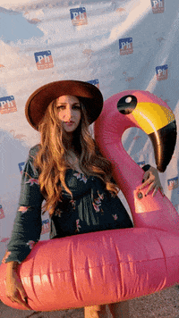 GIF by Team Phun