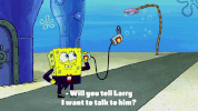 season 9 episode 13 GIF by SpongeBob SquarePants