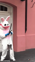 Lonely Easter Bunny Sings in French Quarter