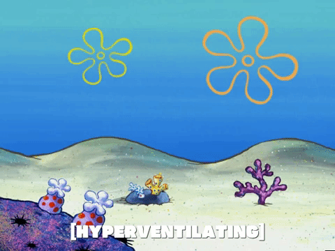 season 5 blackened sponge GIF by SpongeBob SquarePants