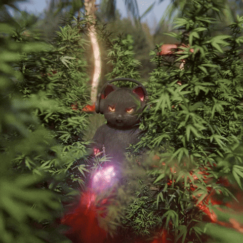 purrfreak giphyupload cat kitty weed GIF