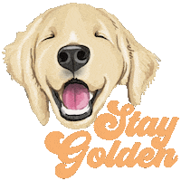 Golden Retriever Dog Sticker by Beachy Pups