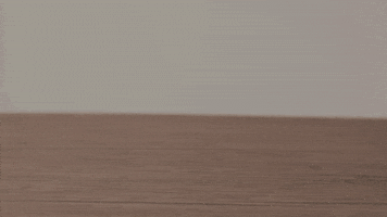 Coffee Makes Me Poop