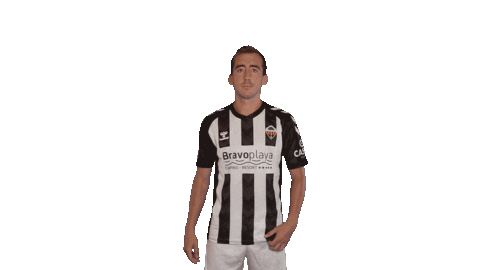 Cdcs Sticker by CD Castellon