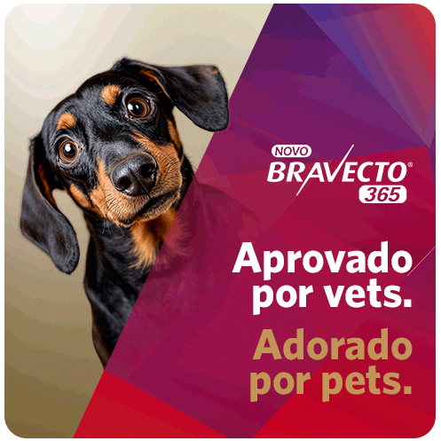 Bravecto GIF by MSD Família Pet