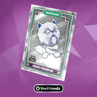 Collect Persian Cat GIF by VeeFriends