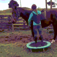 start GIF