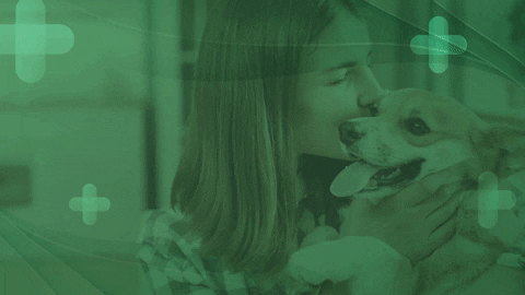 GIF by Agência Limão Criativo