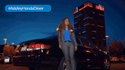 GIF by NorCal Honda Dealers