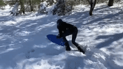 Snow Fail GIF by Display Name