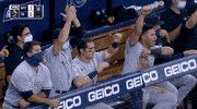 New York Yankees Baseball GIF by Jomboy Media