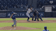 Ny Yankees GIF by Jomboy Media