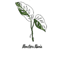 Plant Cutting Sticker by Monstera Mania