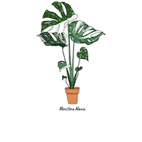 Plant Sticker by Monstera Mania