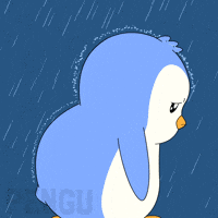 Sad Cry GIF by Pudgy Penguins