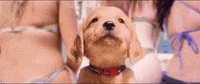 music video waterbed GIF by The Chainsmokers