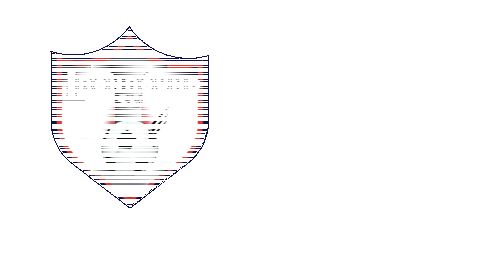 New York League Sticker by USL