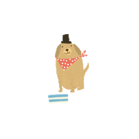 WhiteStuffUK dog animals animal pug Sticker