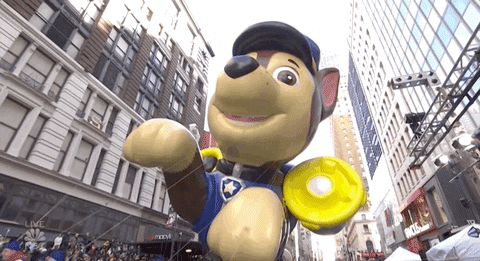 Macys Parade GIF by The 96th Macy’s Thanksgiving Day Parade