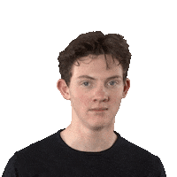 Disney Themepark Sticker