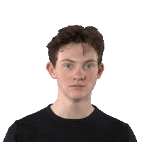 Disney Themepark Sticker