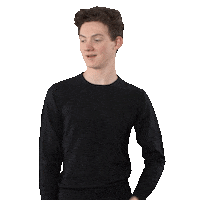 Disney Themepark Sticker