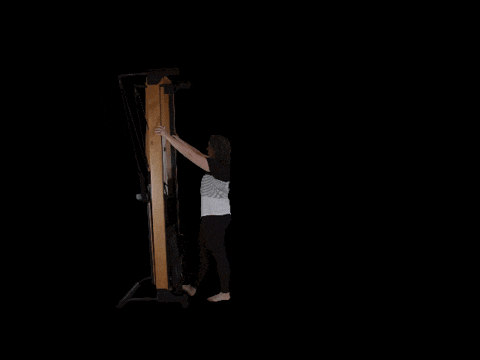 FlexiaPilates giphyupload pilates reformer flexia GIF