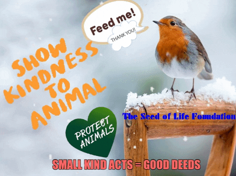 Be Kind Thank You GIF by The Seed of Life Foundation