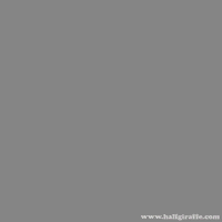 Christmas Tree Cat GIF by William Garratt