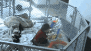 fail GIF by AFV Babies