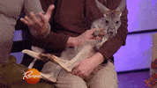 christmas eating GIF by Rachael Ray Show