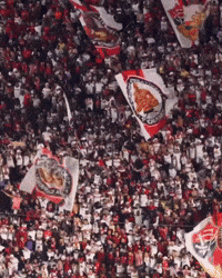 Ecvitoria GIF