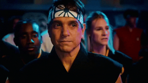 TT5MTM cobra kai cobrakai daniel larusso johnny lawrence GIF