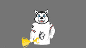 College Hockey GIF by Northeastern University