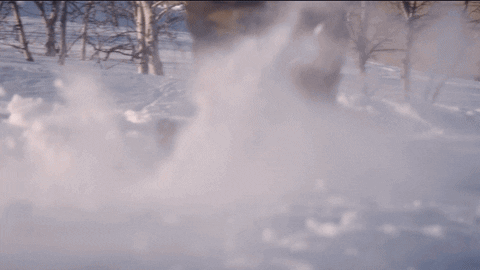 GIF by hero0fwar