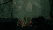 Video Games Meadows GIF by Bonsai Collective