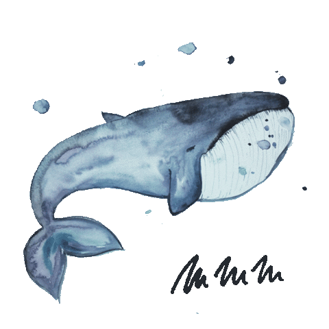 Whale Sticker by MMMoje