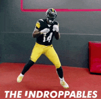 George Steelers GIF by The Undroppables