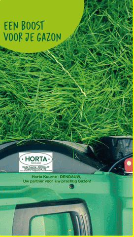 lievendendauw giphygifmaker horta gazon hortadendauw GIF