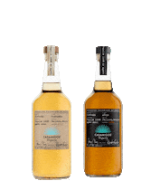 heart love Sticker by Casamigos