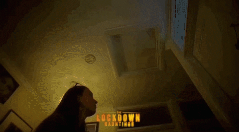 Movie Film GIF by Altitude Films