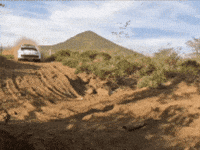 In A Hurry Racing GIF by FIA World Rally Championship