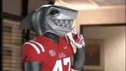 The Office Yes GIF by Ole Miss Rebels