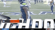 Seattle Seahawks Football GIF by NFL
