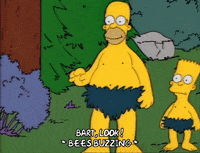 Season 1 GIF by The Simpsons