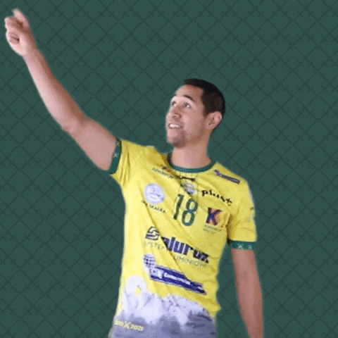 Touch Referee GIF by Aluron CMC Warta Zawiercie
