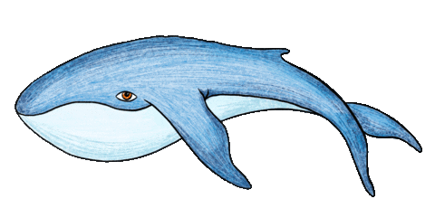 Drawing Sea Sticker